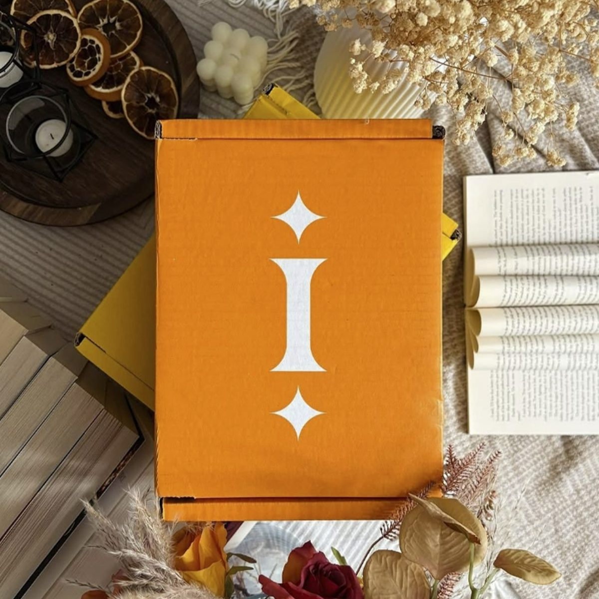 Illumicrate Book Subscription Book